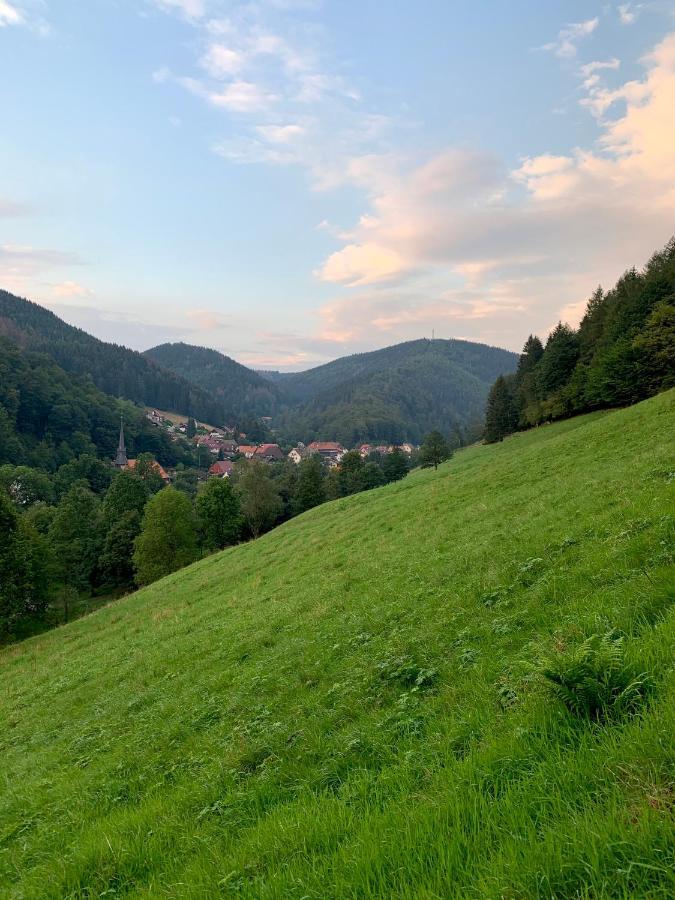 Gemuetliches Apartment Mit Kamin Und Wohnkueche Herzberg am Harz Exterior foto
